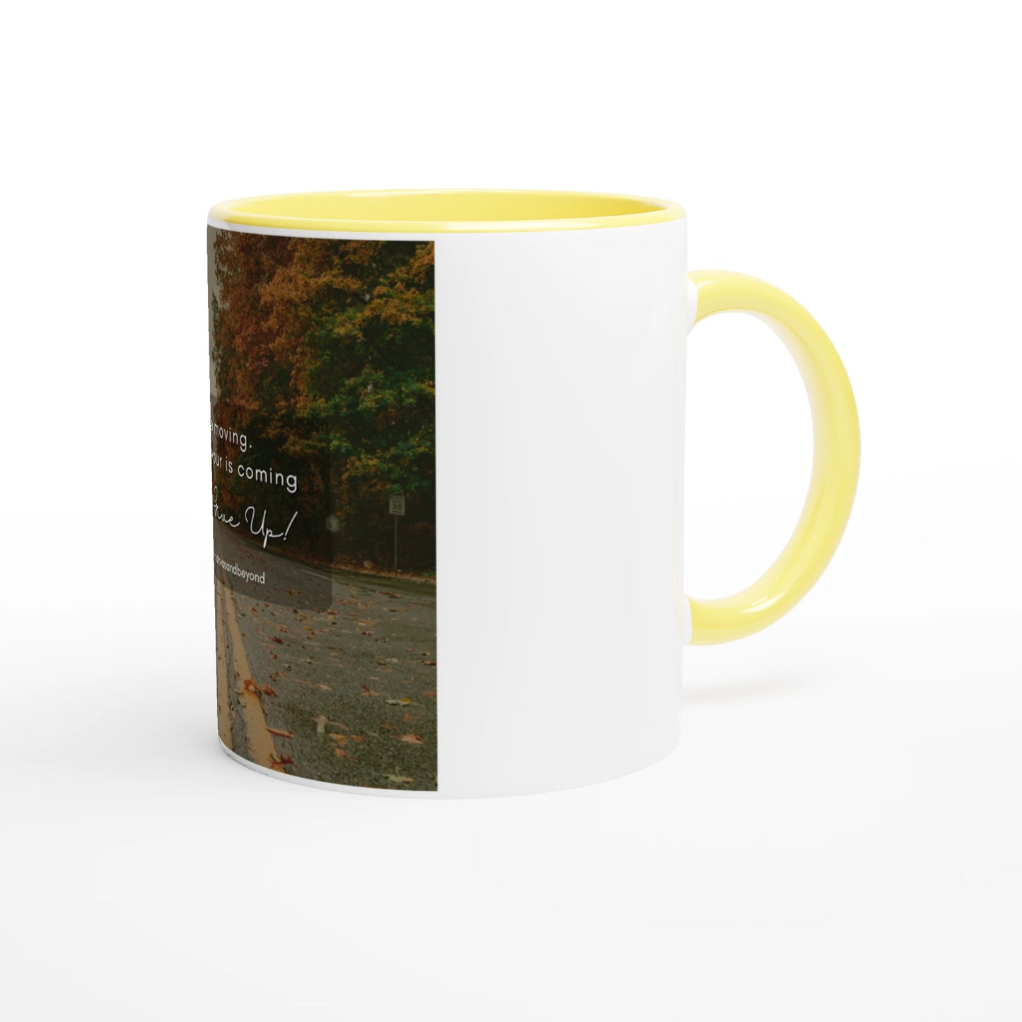 c5576517-e3ab-443f-9447-981534b1ea30